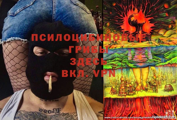 синтетический гашиш Гусь-Хрустальный