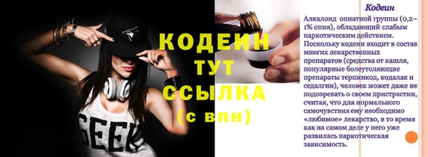 хмурый Гусев