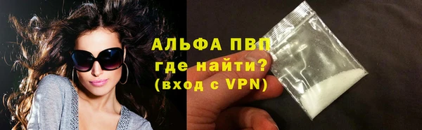 хмурый Гусев