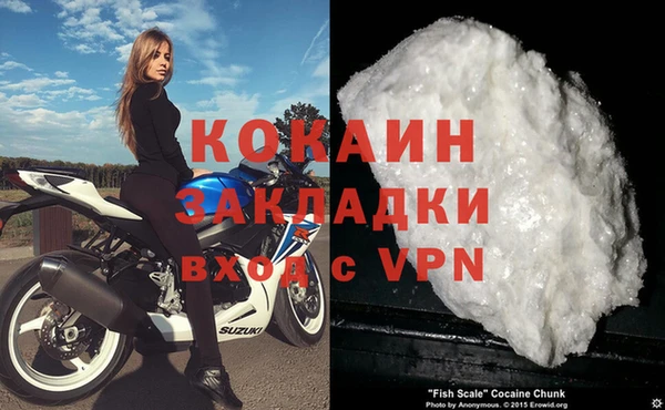 хмурый Гусев