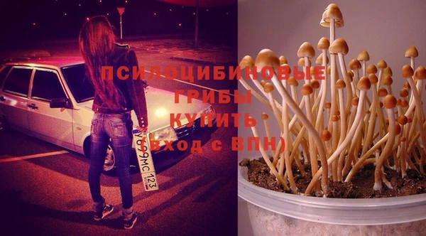 MESCALINE Дмитровск