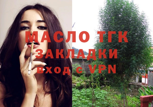 хмурый Гусев
