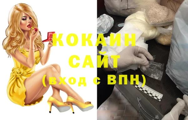 хмурый Гусев