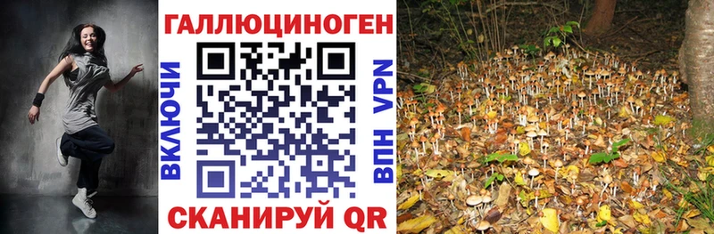 Галлюциногенные грибы мухоморы  Купить закладки  Елец 