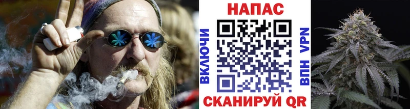 Купить где  Елец  Конопля семена 